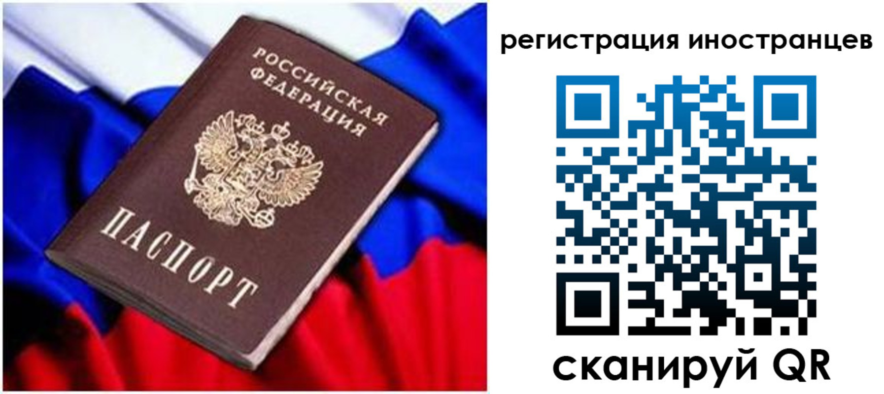 прописка для школы в Мурманской области